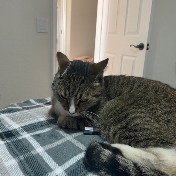 Meet your Posher, Julia - Picture 4 of 4